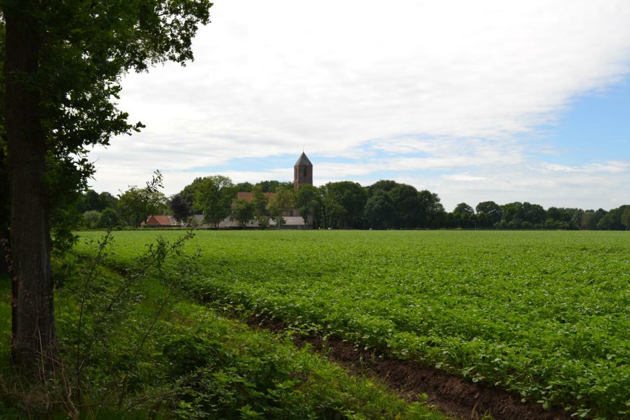 Mooi Nieuw Houten Huisje Havelte Esterno foto